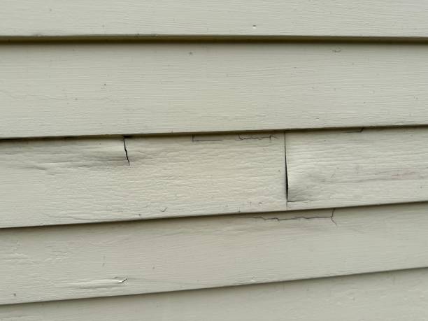 Best Composite Siding  in Little Elm, TX